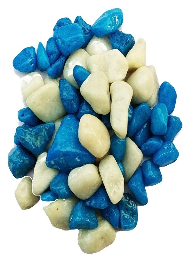 Maalavya Blue with White Color Marble Pebbles
